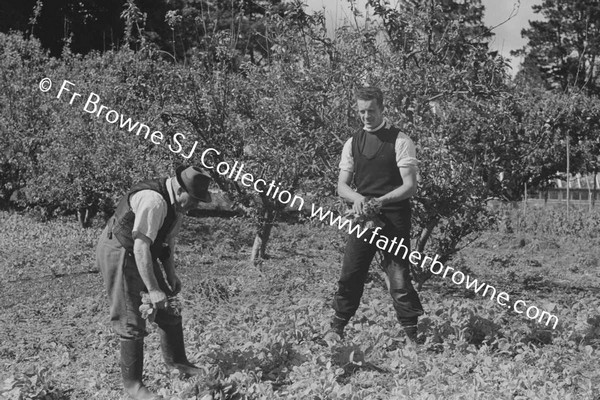 IN THE GARDEN BROTHER BARRY S.J. & JOHN TREACY